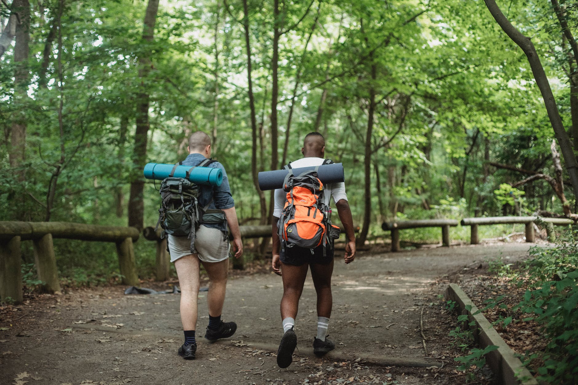 Choose The Best Backpack For Your Travels